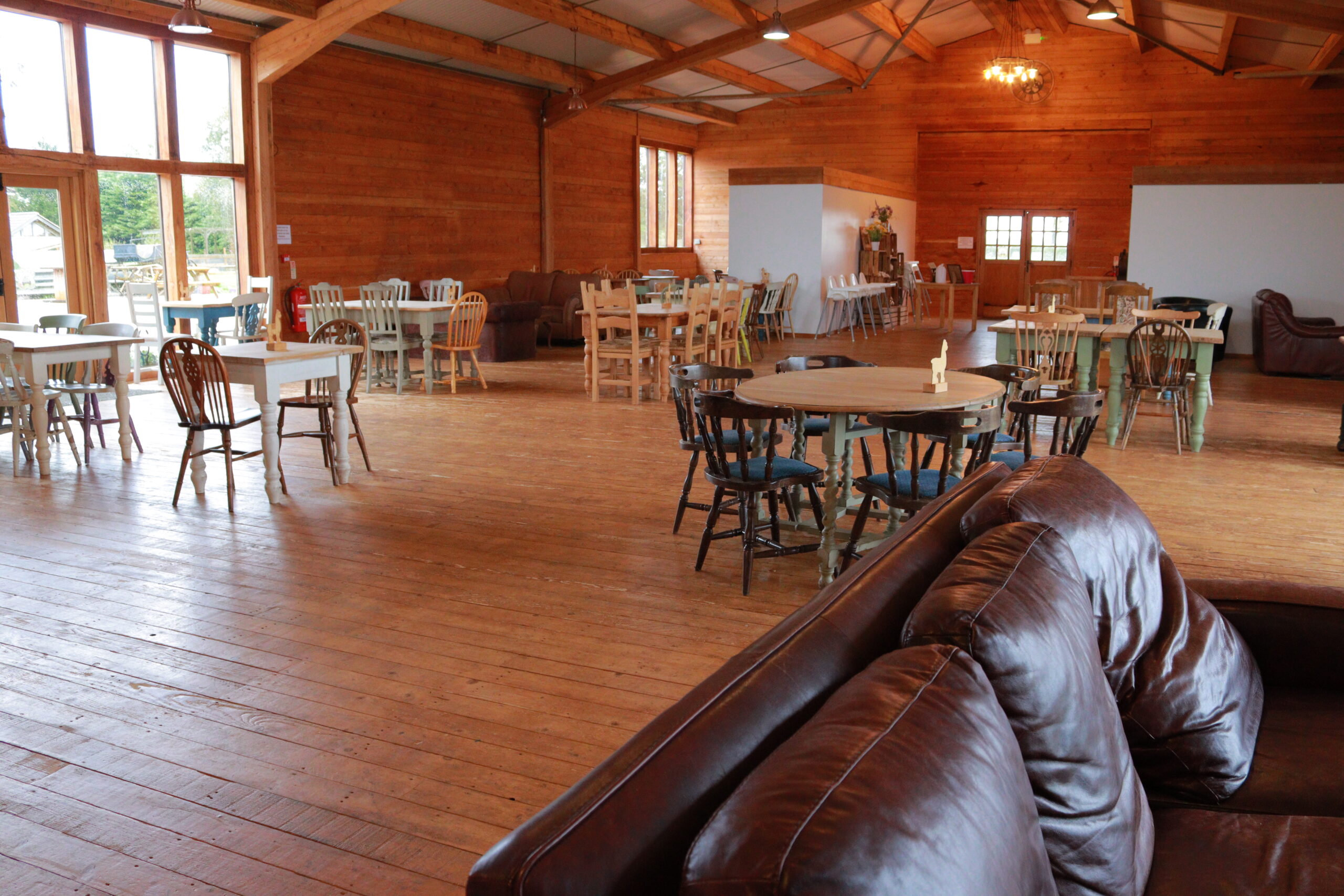 Buttercups Tea Room and countryside experiences in Leicestershire